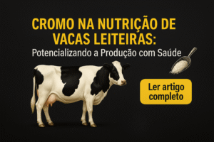 imagem cromo vaca leiteira
